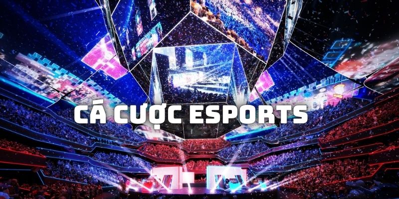 Cá Cược Esports Là Gì?