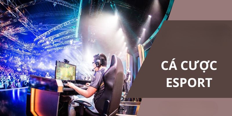 Cá Cược Esports