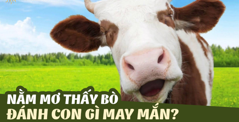 Mơ thấy bị rượt đuổi
